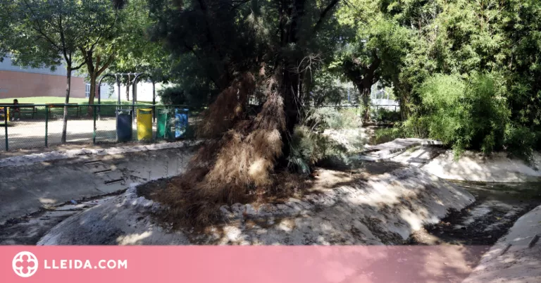 A punt els treballs d'enderroc de la bassa dels ànecs del parc municipal de Mollerussa