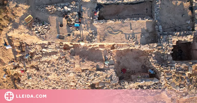 L'últim descobriment a les excavacions al jaciment de Gebut a Soses