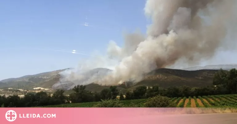 ⏯️ Més de 60 dotacions de bombers treballen en l'extinció d'un incendi a Artesa de Segre