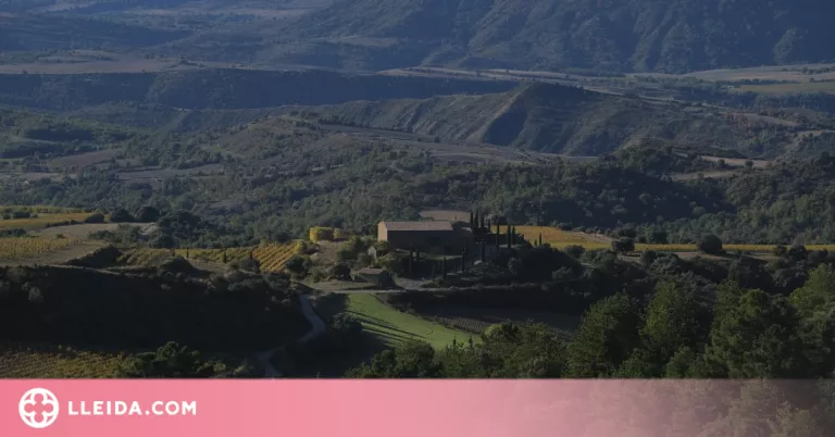 Presenten un nou vi ancestral procedent del Prepirineu
