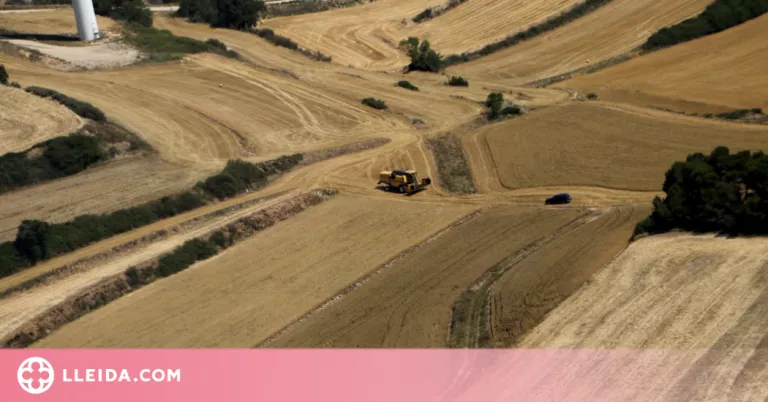 ⏯️ Els Agents Rurals han treballat en 11 incendis relacionats amb la sega a Ponent