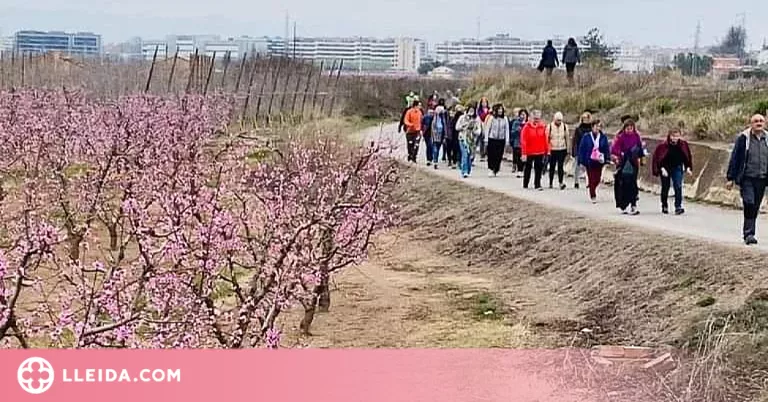 Projecte de sortides per entorns naturals a Lleida per fomentar la vida activa