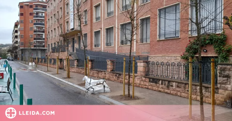 La Paeria plantarà enguany 567 arbres als carrers de la ciutat