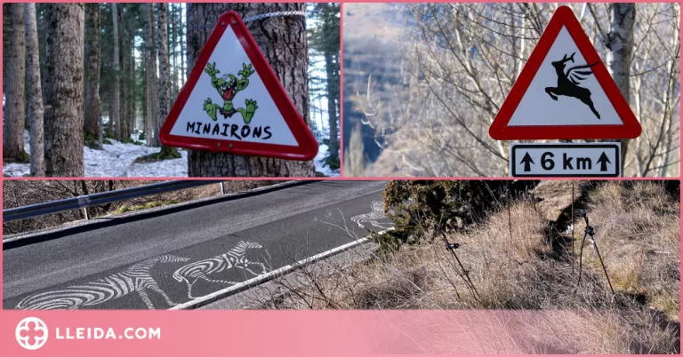 ⏯️ Cérvols voladors o vaques amb paracaigudes com a mostra d'art a les carreteres del Pirineu
