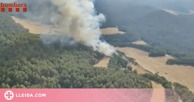 ⏯️ Els bombers estabilitzen un incendi forestal al Solsonès