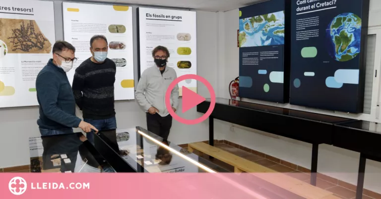 ⏯️ Primers passos per reagrupar, de manera virtual, la col·lecció de fòssils de la Pedrera de Meià
