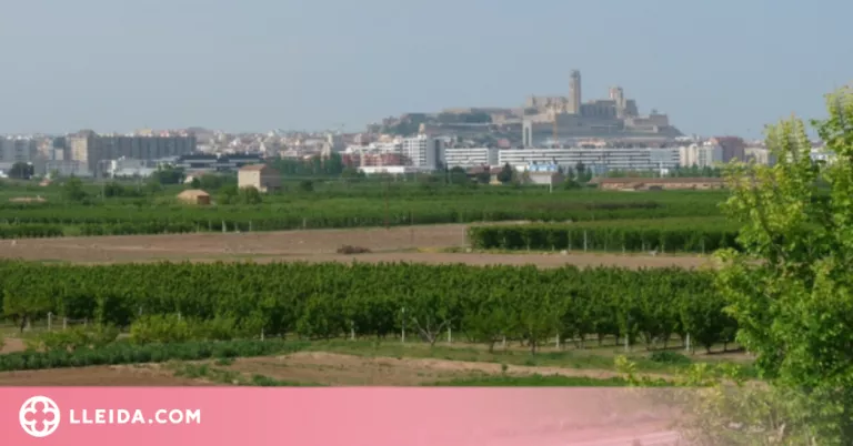 Llum verda a l'Ordenança reguladora dels usos i activitats de l'Horta de Lleida