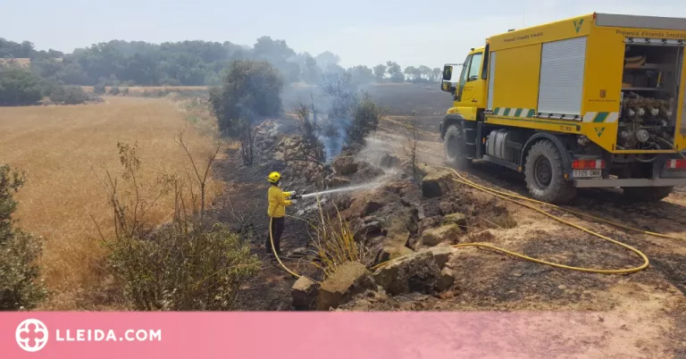 En marxa la campanya de prevenció d'incendis durant els treballs de sega del cereal