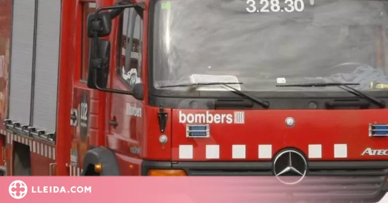 Un incendi crema tres hectàrees de vegetació agrícola a la Noguera