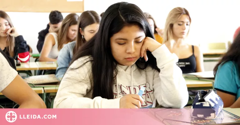 Sexualitat, benestar emocional i salut mental, les principals consultes dels estudiants