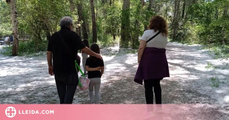 Ecodescoberta de les plantes que creixen al Parc de la Mitjana