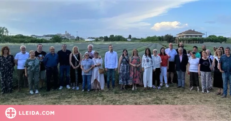 Aromes de Can Rosselló inicia els actes de la 5a edició de la Floració de la Lavanda