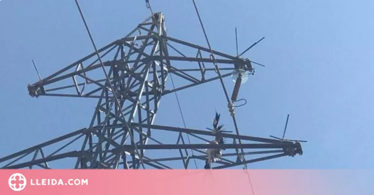 Convoquen quatre jornades de vaga al centre de treball de Cobra a Lleida