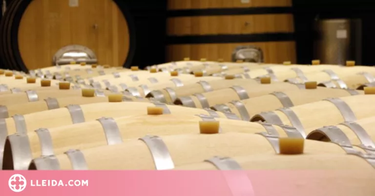 La DO Costers del Segre guanya un 93% de vinya ecològica en un any