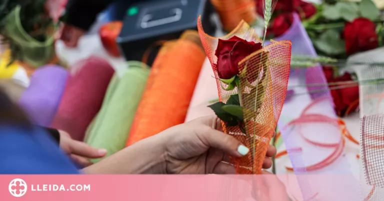 ⏯️ Llibreters i floristes esperen un Sant Jordi de rècord amb la pluja com a única amenaça