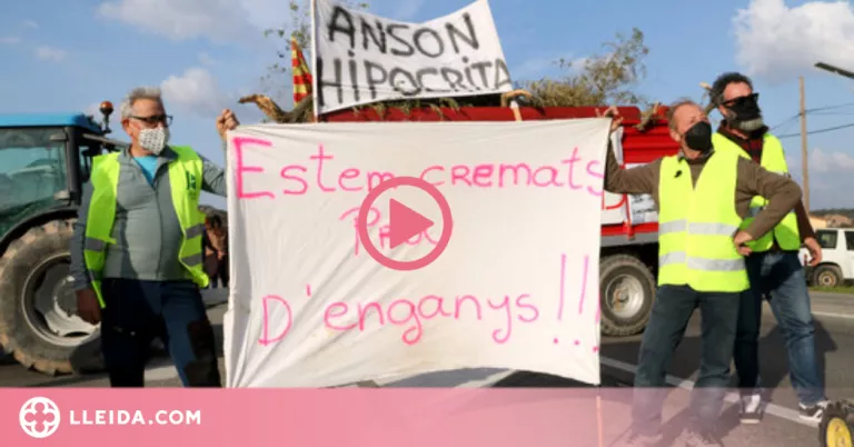 Els pagesos tallen la C-12 a Flix per exigir ajuts als productors afectats pel temporal Filomena