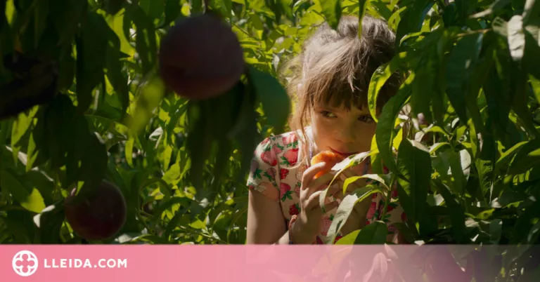 Un 'photocall' agrícola donarà la benvinguda als assistents a la preestrena d'Alcarràs a Lleida