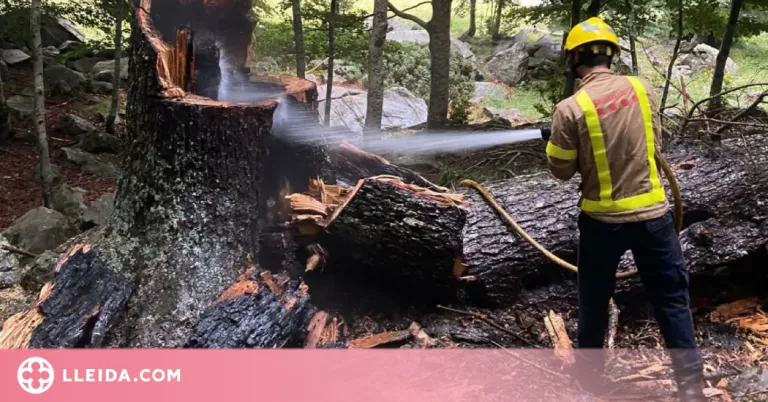 Extingit l'incendi forestal ocasionat per un llampec a la Vall d'Aran