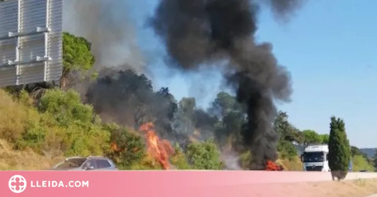 ⏯️ Un incendi forestal a la Jonquera obliga a tallar l'AP-7