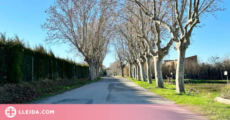 Almacelles amplia la xarxa de clavegueram i el ferm del camí d’accés al cementiri