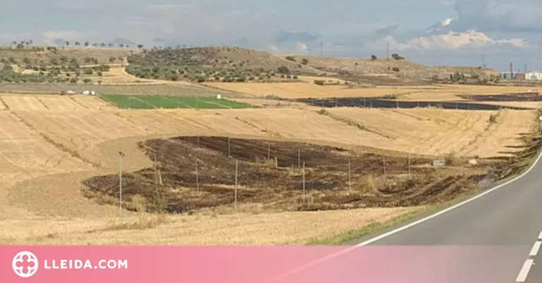 UP demana responsabilitats pels danys dels incendis provocats per un camió amb la roda punxada