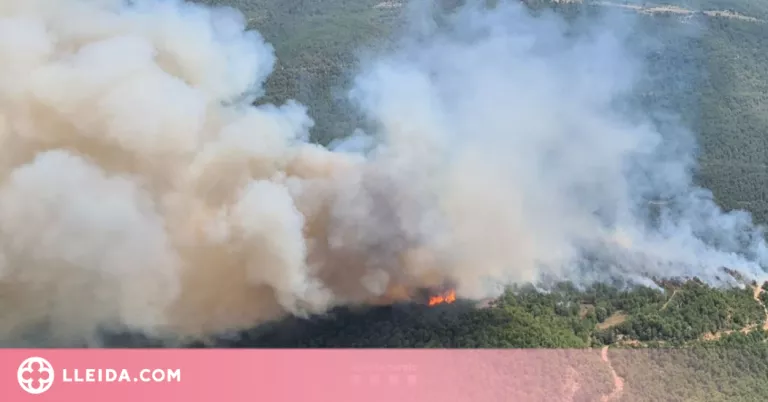 Alerten que un llamp pot estar "tres o quatres dies latent" i posteriorment causar un incendi