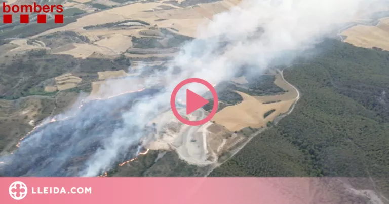⏯️ Un incendi crema 55 hectàrees de vegetació al Segrià