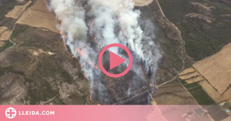 ⏯️ Estabilitzat l'incendi que ha cremat 55 hectàrees agrícoles i forestals de Catalunya i l'Aragó