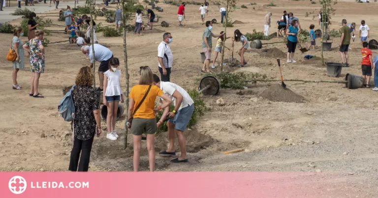 La Paeria programa una nova plantació popular al parc del Joc de la Bola
