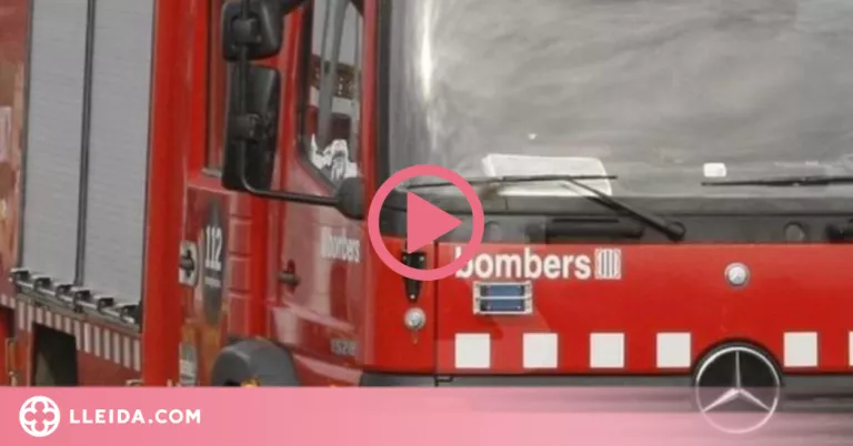 ⏯️ Els Bombers sufoquen un incendi al Segrià
