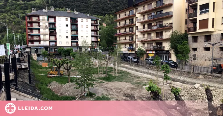 Una vintena d'arbres malmesos arran d'un acte vandàlic a Sort