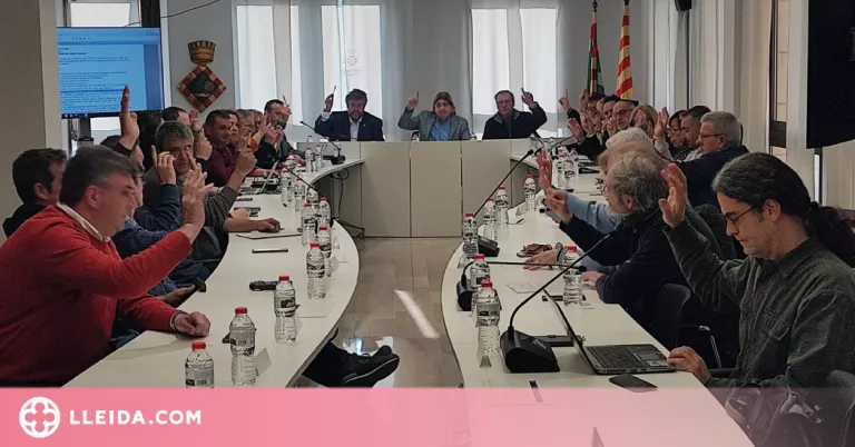 Llum verda a les taxes per a l'acollida de gats domèstics al Centre d'Alcanó