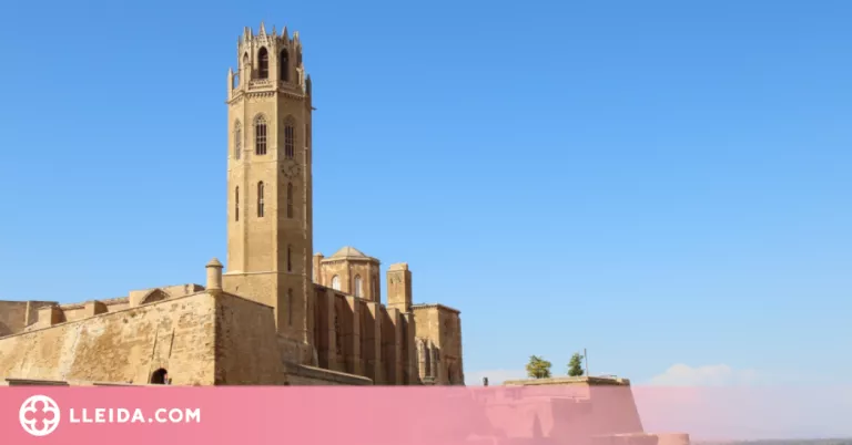 Premi per als millors treballs de fi de grau sobre el turó de la Seu Vella
