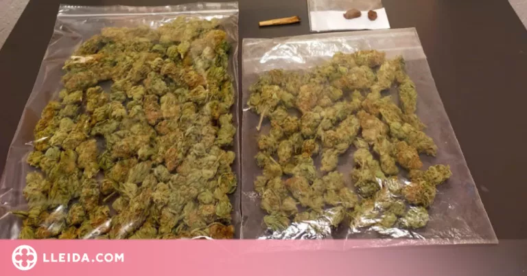 La Policia Local de Tàrrega deté un home per tràfic de substàncies estupefaents