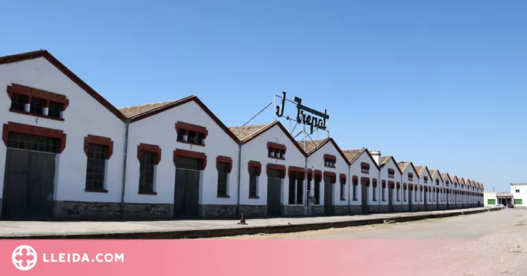 ⏯️ El Museu Trepat de Tàrrega compleix deu anys i es consolida com a espai de creació artística