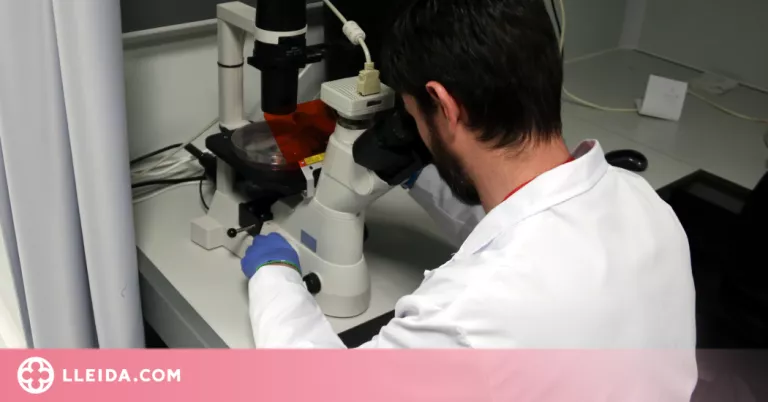 Sanitat confirma set casos de verola del mico i estudia altres 23 mostres sospitoses