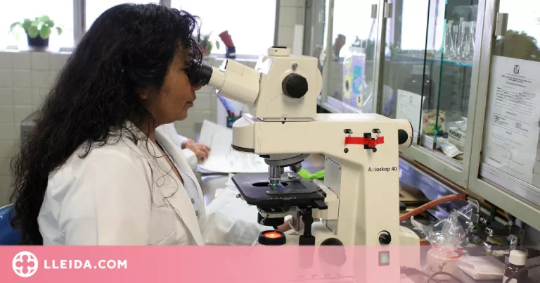 Descobreixen un impulsor de malignitat i metàstasi del melanoma, el càncer de pell més agressiu