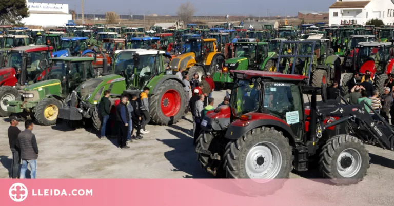 ⏯️ Més de 400 tractors es tornen a manifestar contra la plaga de conills