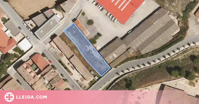Llum verda al primer parc caní urbà d’Almacelles