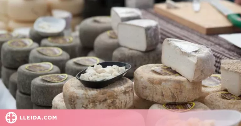 L'Espai Ermengol proposa dues visites guiades dedicades a la ruta del formatge amb degustació