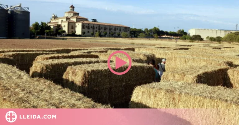 ⏯️ Un laberint fet amb més de 300 bales de palla promou el turisme a la Segarra