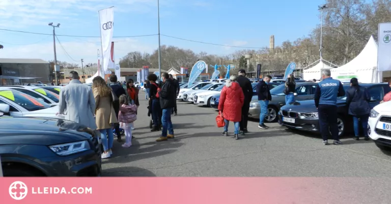 Lleida Ocasió assoleix la plena ocupació