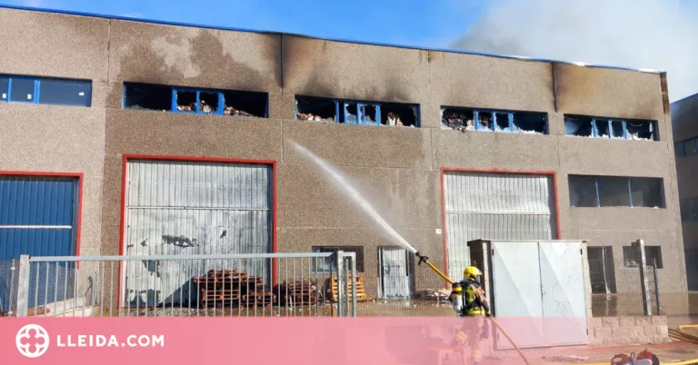 Els Bombers treballen en l'extinció d'un incendi en una nau industrial a Cervera