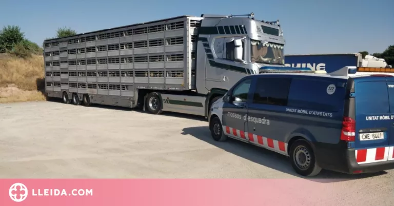 Detingut a Alcarràs un camioner que feia transport internacional amb documents que no eren seus