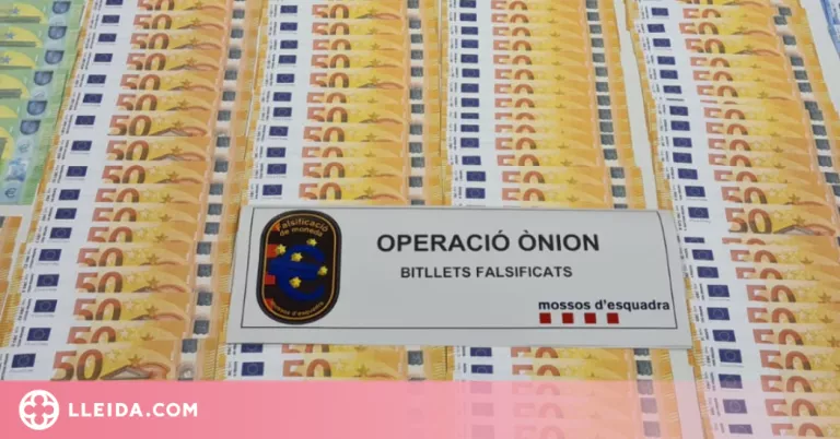 Detinguts una dona i el pare de dos menors per induir-los a fer compres amb bitllets falsificats