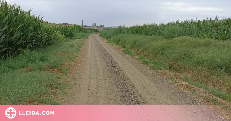 Inicien les obres d’arranjament d’un tram del camí de la Plana de Penelles