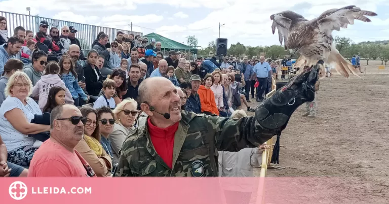 Tàrrega recupera amb èxit la Fira del Caçador, que torna a aplegar milers de visitants