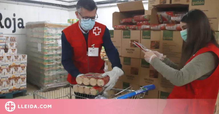 La Creu Roja reparteix 2,9 milions de quilos d'aliments entre més de 120.000 persones a Catalunya