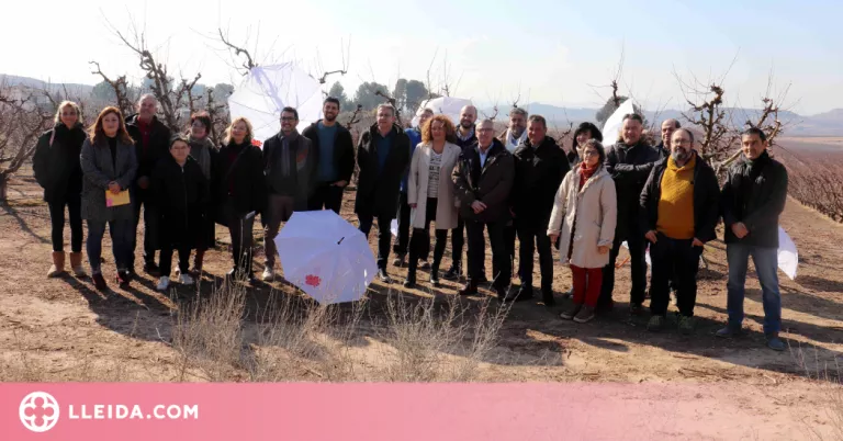 'Segrià, terra de floració', la campanya de la floració més gran amb una quarantena d'activitats