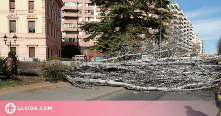 Els bombers atenen una vintena d'avisos per fortes ratxes de vent a Ponent